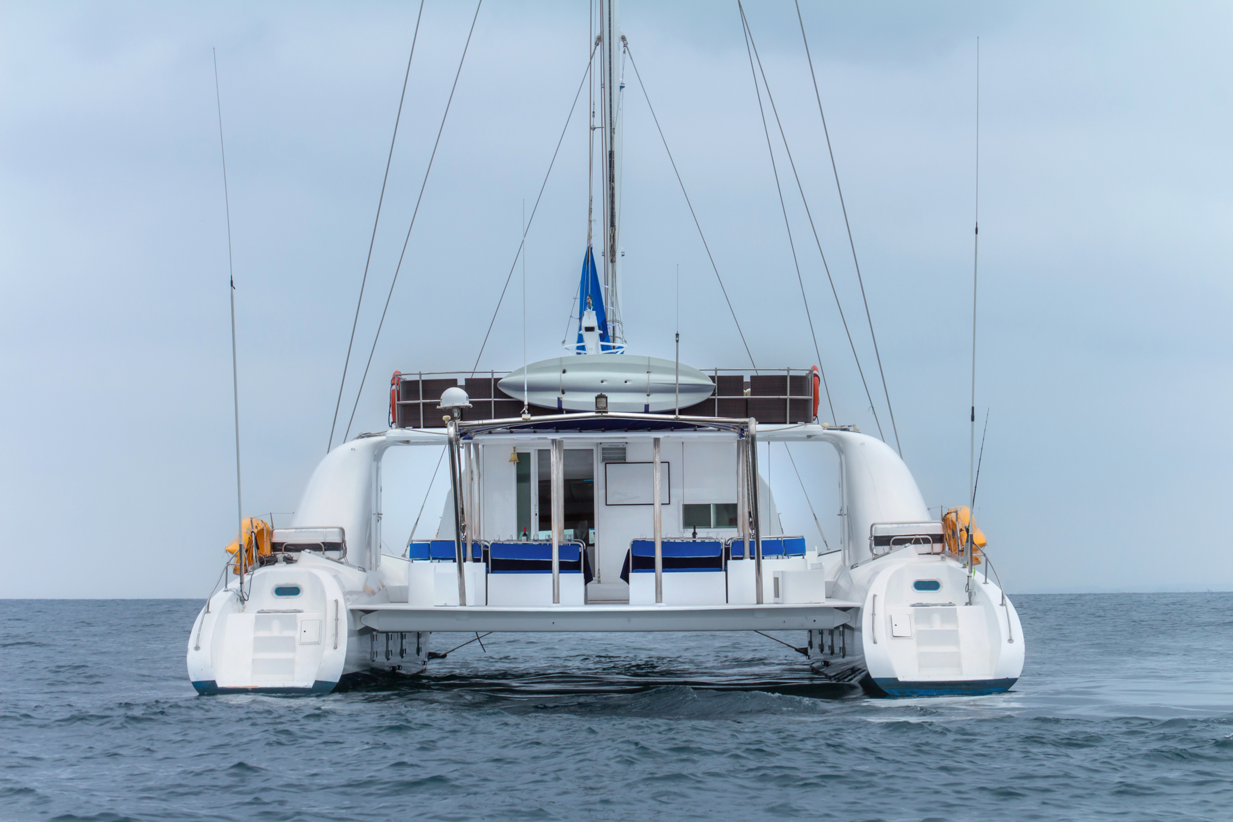stern